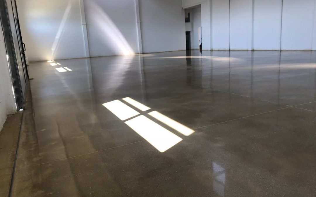 Grinding and polishing service on concrete floor – Rovigo, Italy